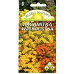 Aksamitka Wąskolistna mieszanka  0,5 g Polan