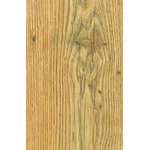 Panel podłogowy Kasztan Tawny AC4 10 mm Krono Original