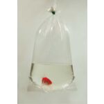 Worek do pakowania ryb 16 x 40 cm