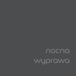 Farba Dulux EasyCare Kuchnia i Łazienka Nocna Wyprawa 2,5 l
