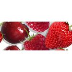 Dekor Karen owoce mix