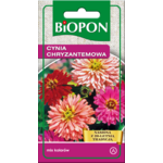 Cynia wytworna chryzantemowa mieszanka 1 g Bopon