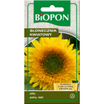 Słonecznik kwiatowy pełny niski żółty 2 g Bopon