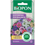 Werbena zwisająca mieszanka 0,1 g Bopon