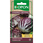 Nasiona cykoria liściowa Palla Rossa (Radicchio) 1,5 g Bopon