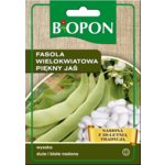 Nasiona fasola wielokwiatowa Piękny Jaś 30 g Bopon