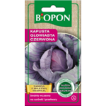 Nasiona kapusta głowiasta czerwona 1 g Bopon