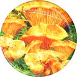 Zakrętka Ø66 mm grzyby 1 10 sztuk Browin