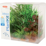 Dekoracja roślinna PLANTKIT JALAYA model 2 ZOLUX
