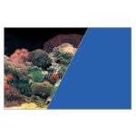Tło akwariowe dwustronne 40 x 60 cm koralowiec/niebieskie ZOLUX