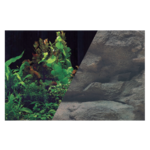 Tło akwariowe dwustronne 50 x 80 cm rośliny czarne/skała ZOLUX