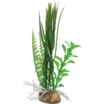 Kompozycja roślin mała ZOLUX