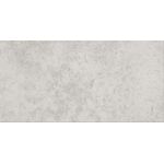 Gres szkliwiony G313 Light Grey 29,8 x 59,8 cm gat.1