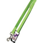 Smycz Mac Leather 20 mm/1,2 m seledynowy ZOLUX