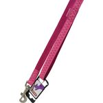 Smycz Mac Leather 20 mm/1,2 m fuksja ZOLUX