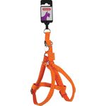 Szelki regulowane Mac Leather 10 mm pomarańczowy ZOLUX