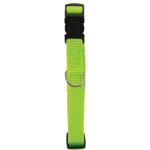 Obroża nylon regulowana 40 mm seledynowy ZOLUX