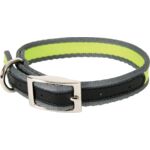 Obroża Summer 30 cm zielony ZOLUX