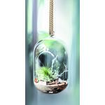 Ogródek w szkle 005