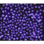 Lampki choinkowe LED 100 fioletowy BULINEX