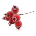 Dzika róża na druciku 12 cm