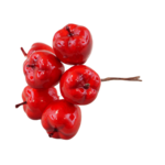 Jabłuszka na druciku 13 cm