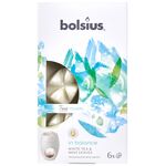 Woski zapachowe In Balance TM 6 sztuk Bolsius