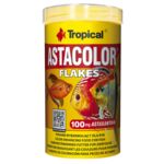 Pokarm dla ryb AstaColor płatek 500 ml / 100 g Tropical