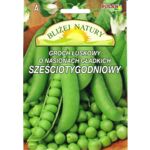 Groch łuskowy Sześciotygodniowy 20 g POLAN