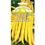 Fasola szparagowa karłowa żółta Krakuska 20 g POLAN