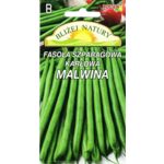 Fasola szparagowa karłowa zielona Malwina 20 g POLAN