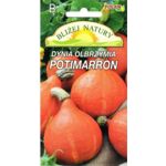 Dynia olbrzymia Potimarron 2 g POLAN