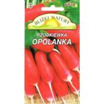 Rzodkiewka podłużna czerwona Opolanka 5 g POLAN