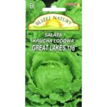 Sałata krucha lodowa Great Lakes 118 0,5 g POLAN