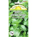 Mięta pieprzowa 0,05 g POLAN