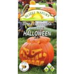 Dynia olbrzymia ozdobna w typie Halloween 2 g POLAN