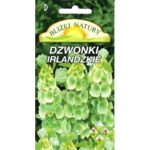 Dzwonki irlandzkie 0,5 g POLAN