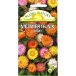 Nieśmiertelnik niski mieszanka 0,3 g POLAN