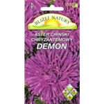 Aster chryzantemowy Demon fioletowy 0,8 g POLAN