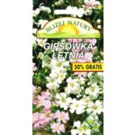 Gipsówka letnia 1,5 g