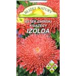 Aster książęcy Izolda 0,8 g różowo-purpurowy POLAN