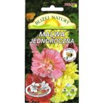 Malwa jednoroczna Majorette mieszanka 0,5 g POLAN