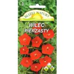 Wilec pierzasty szkarłatny 0,5 g POLAN