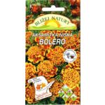 Aksamitka niska miodowo-mahoniowa Bolero 0,5 g POLAN 