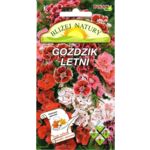 Goździk letni pełny mieszanka 0,5 g POLAN
