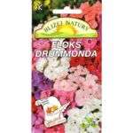 Floks Drummonda niski mieszany 0,5 g POLAN