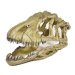 Ozdoba akwariowa U714 czaszka dinozaura happet