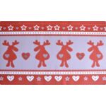 Wycieraczka Vision 40 x 60 cm wz15