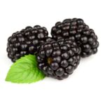 Balot Eko Owocowy Raj (jeżyny bezkolcowa) wys. 30-40 cm