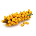 Balot eko Owocowy Raj (rokitnik) wys. 20-40 cm